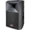 Концертная акустика Biema PV360B