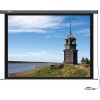 Проекционный экран CACTUS Professional Motoscreen CS-PSPM-149x265