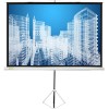 Проекционный экран CACTUS Triscreen CS-PST-180x180