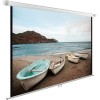 Проекционный экран CACTUS WallExpert 180x120 CS-PSWE-240x180-WT