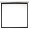 Проекционный экран Digis Electra-F 219x222 DSEF-1107