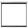 Проекционный экран Future Vision Wall Electric 240x240 E240SMW