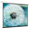 Проекционный экран ViewScreen Breston 220х163 EBR-16909