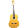Акустическая гитара Emuse FS-119