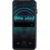 Hi-Fi плеер iBasso DX320 (черный)