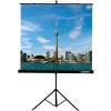 Проекционный экран Lumien Eco View 128x171 LEV-100110
